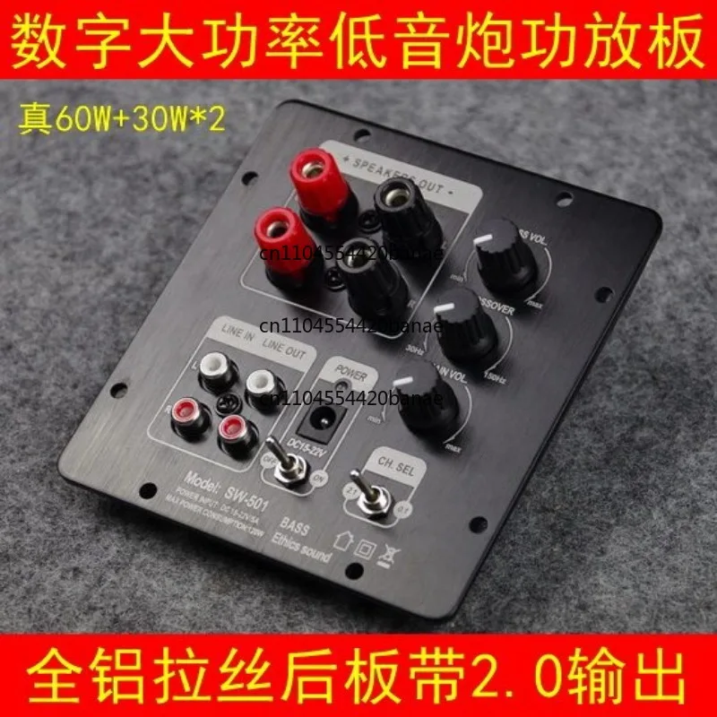 Amplifier Board 2.1 Amplifier Board The fully digital patch integrated amplifier board has independent 2.0 output