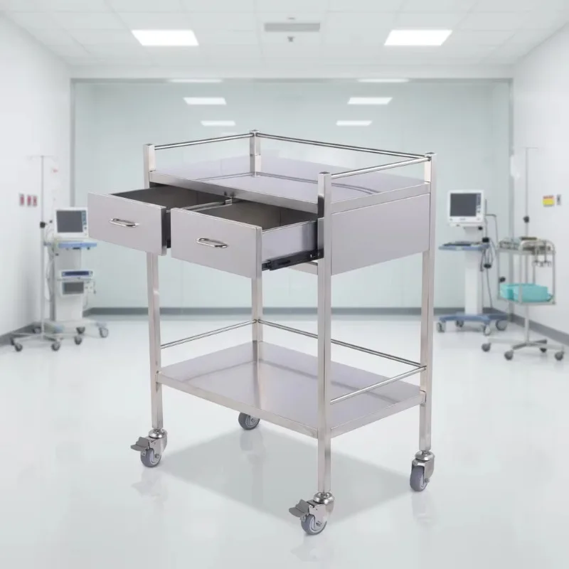 2 Tier Stainless Steel Modern 2 Shelves Kitchen Hospital Salon Lab Medical Equipment Instrument Tool Trolley Cart CY-D402