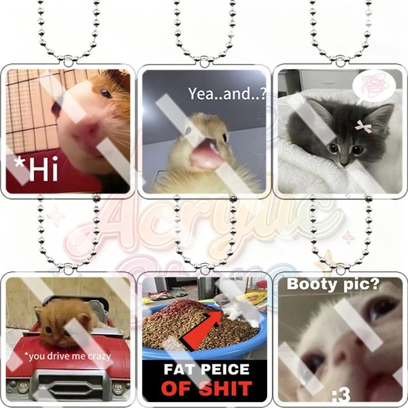 Cartoon Funny Viral Pet Meme Square Acrylic Keychain Chains Charms Double-sided Print Animals Emoji Key Ring Pendant Decor Gifts