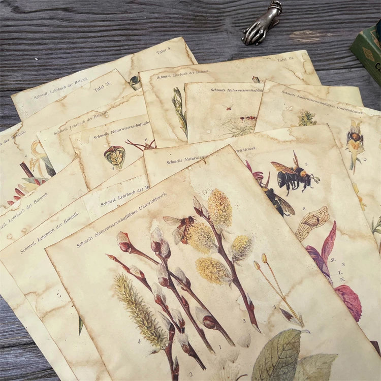 12 Sheet Coffee Dyed Plant Material Paper Pack Junk Journal Ephemera Handmade Vintage Craft Paper Flower Scrapbooking Material