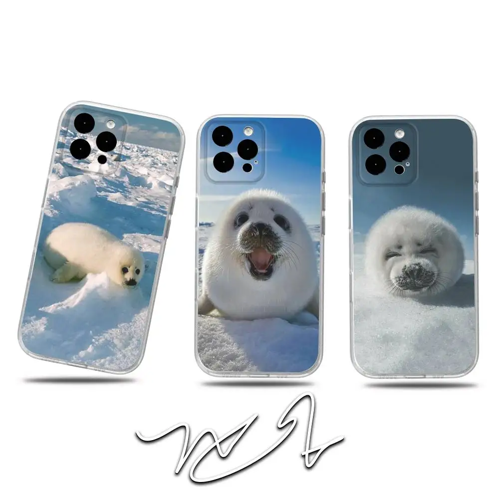 

Seal A-Animal C-Cute Phone Case For iPhone 17,16,15,14,13,12,Pro,Max,Plus,E,SE4,Air,Mini Transparent Cover