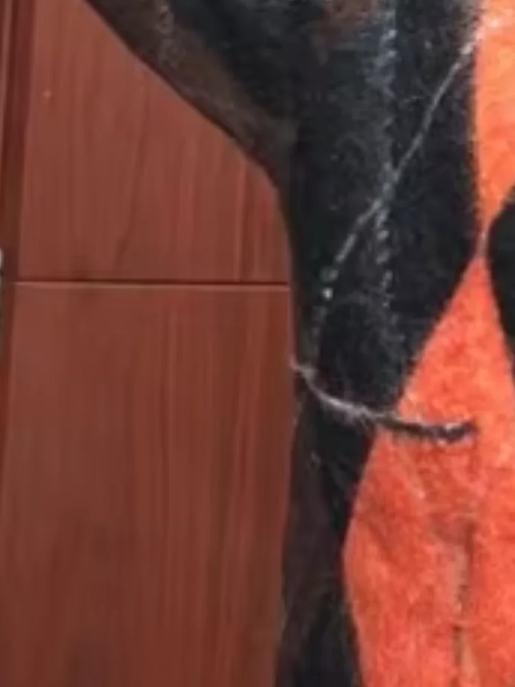 

Шикарный вязаный кардиган с геометрическим принтом, женский контрастный однобортный свитер с круглым вырезом, женский 232, осень-зима, повседневные женские пальто