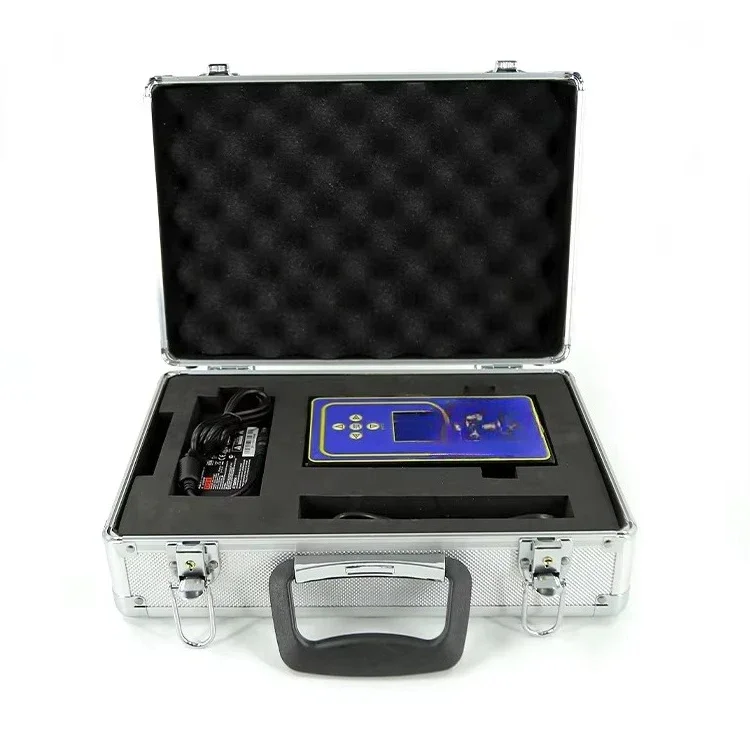 Portable high-precision ozone concentration detector