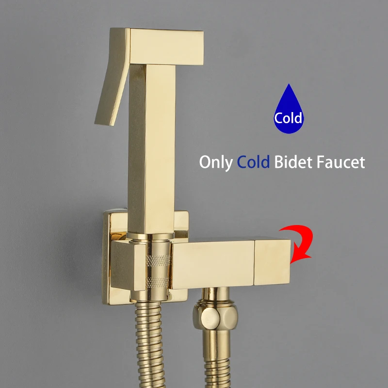 

ULA Brushed Gold Bidet Faucet Portable Sprayer Toilet Bidet Faucet Square Only Cold Water Bathroom Valve Set Hygienic Shower