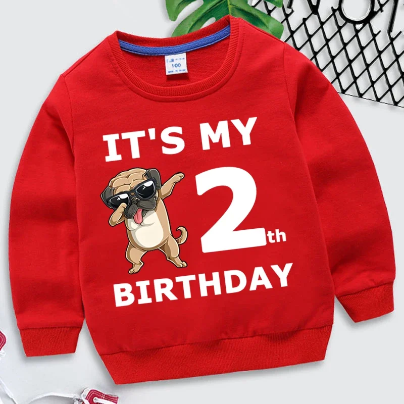 Funny Dogs Birthday Number 1-10 Kids Sweatshirts Children\'s Kawaii Pullover Cartoons Boy Girl Hoodies Birthday Party Red Hoodie