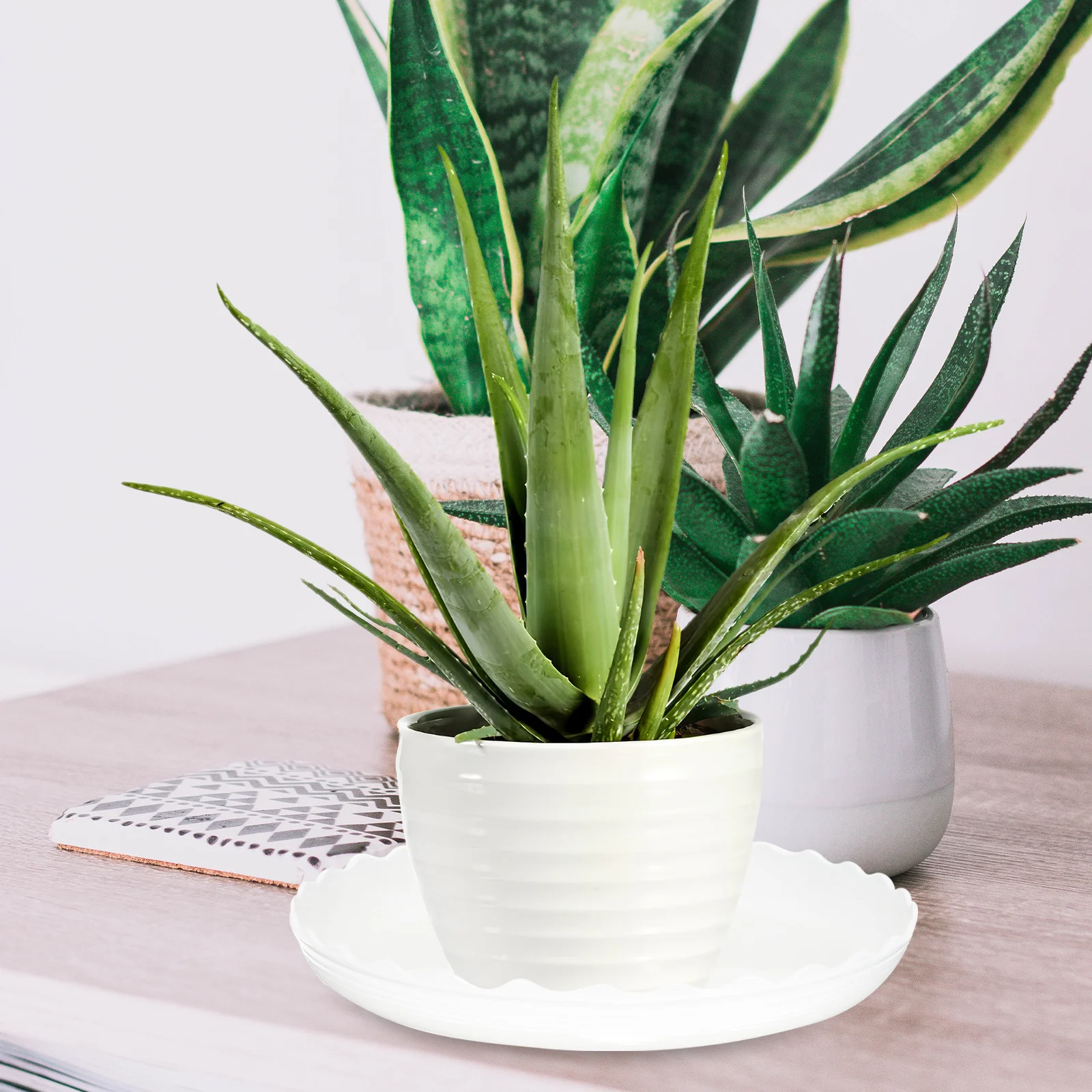 

12pcs Round Flower Pot Saucers Plastic Plant Pot Trays Drip Tray For Garden Balcony Water Holding Trays Bonsai Plate Gardening