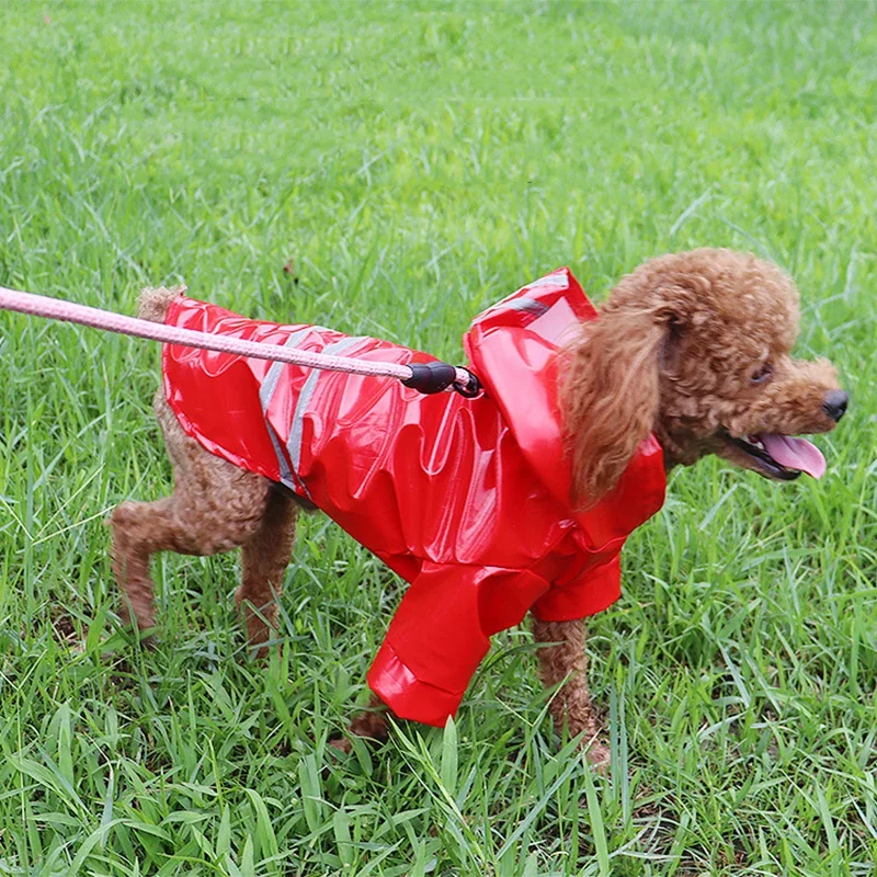 Thumbnail 4 - #57 Trending Pet Apparels Right Now