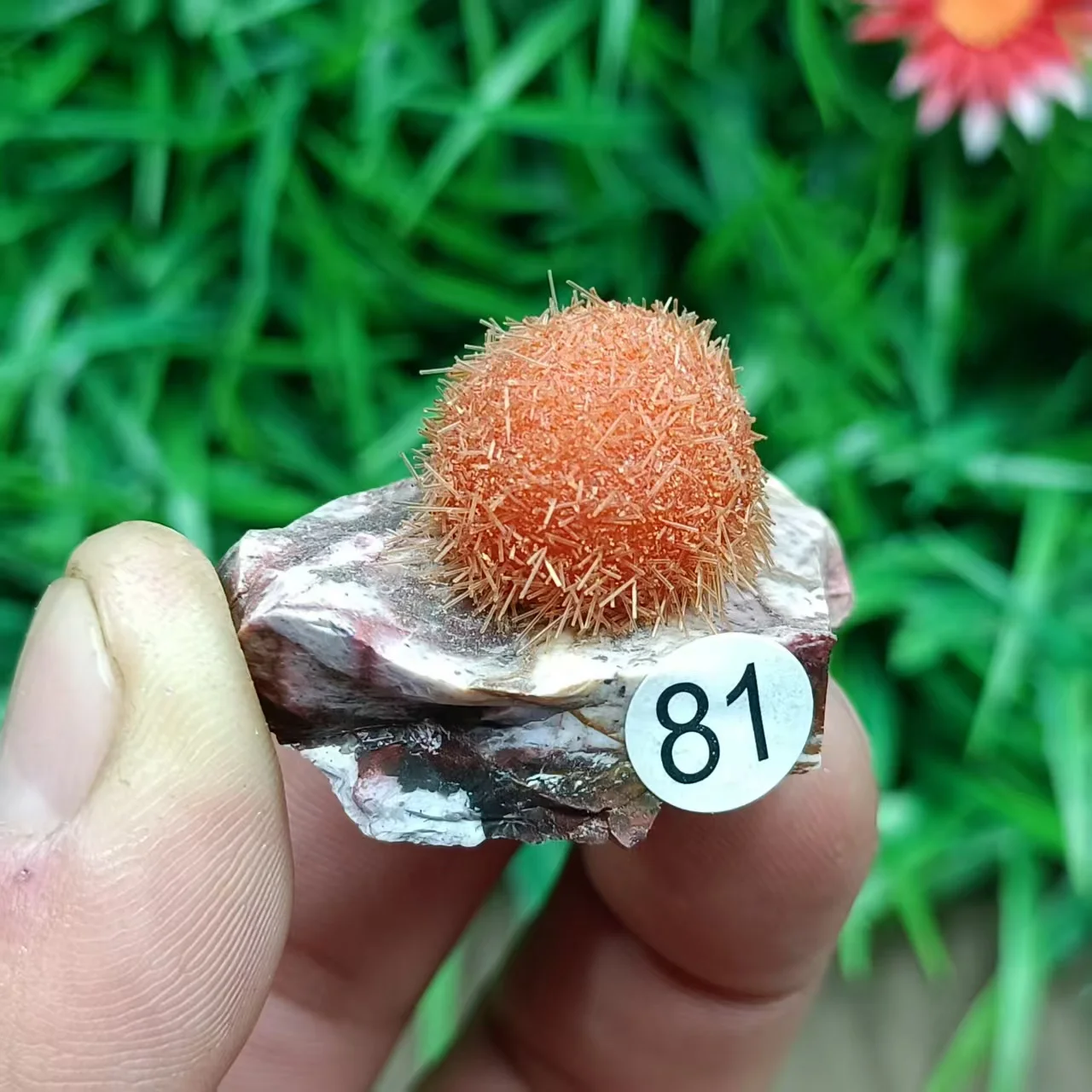 Indian Zeolite Raw Mineral Specimen, Mineral Crystal Collection, Home Decoration Gift