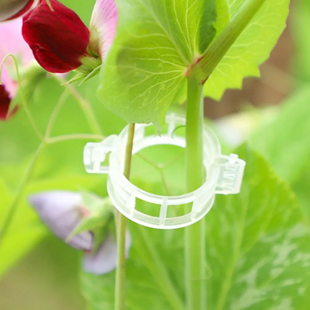 200x Eco-Friendly Plant Support Reusable Clips For Garden Plants Which Not Only Provides Strong white 30*9mm