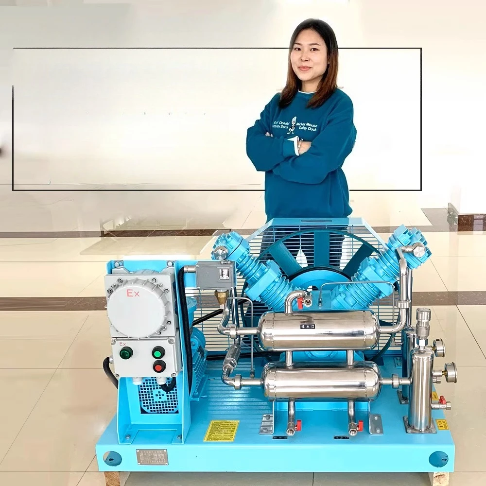 

Customizable oil-free explosion-proof air compressor