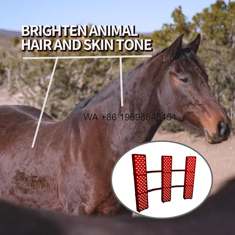Wmwmnu for Equine Full Body Solarium Stable Horse Light with Infrared Red Features