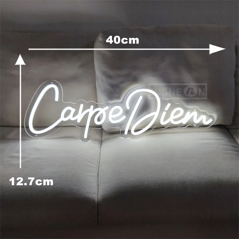 Carpe Diem Neon Sign, for Wall Decor, Club Party, Shop Home, Bedroom Wall Hanging LED Decoration, Birthday Gift Lamps