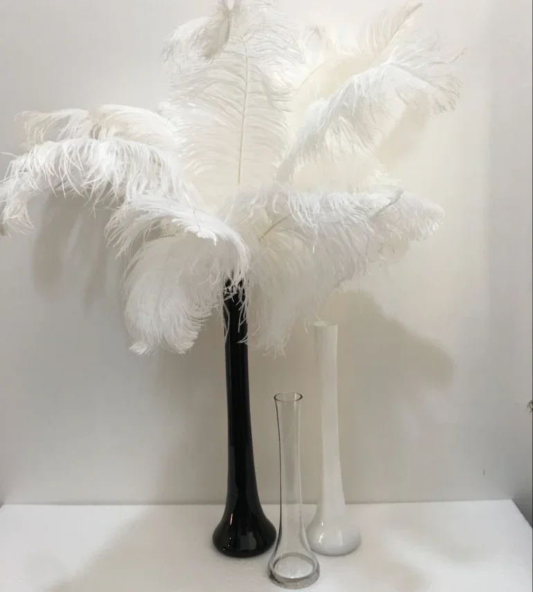 Feather inserted white vase glass slender modern minimalist living room porch home decoration ostrich hair black flower ware