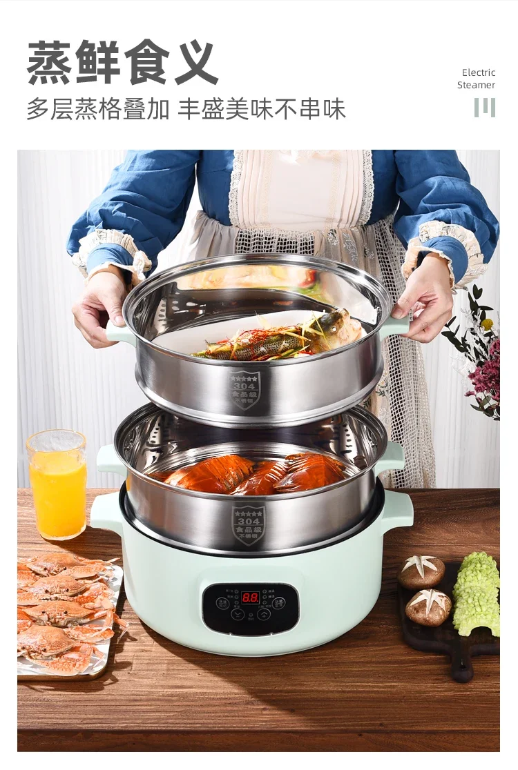 220V German Zdzsh Electric Food Steamers with  304 Stainless Steel Steam Pots and Timer, Perfect for Healthy Cooking