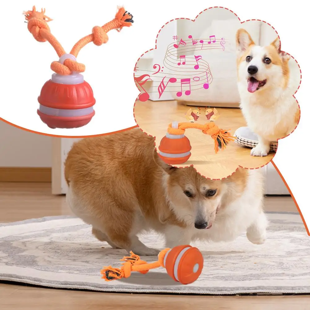 Thumbnail 4 - #61 Trending Dog Balls Right Now