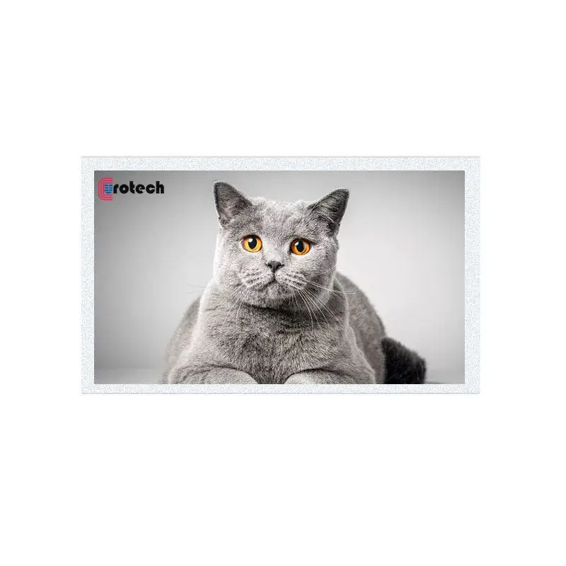 G070Y2-T02 7.0 Inch 800x480 RGB Interface TFT LCD Panel Transmissive High Bright Vertical Bars For Car Display And Industry