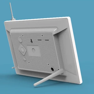 11 Main Sales Digital otoscope - №11