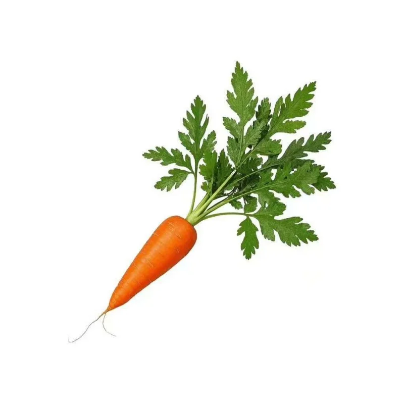 93342272 السكك الحديدية المشتركة حاقن الديزل طقم تصليح فوهة DLLA148P1067 0433171693 صمام التحكم F00VC01023 للحقن 0445110231