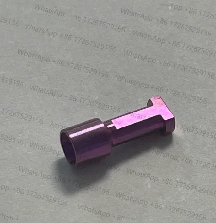 6Pcs Implant Analog…