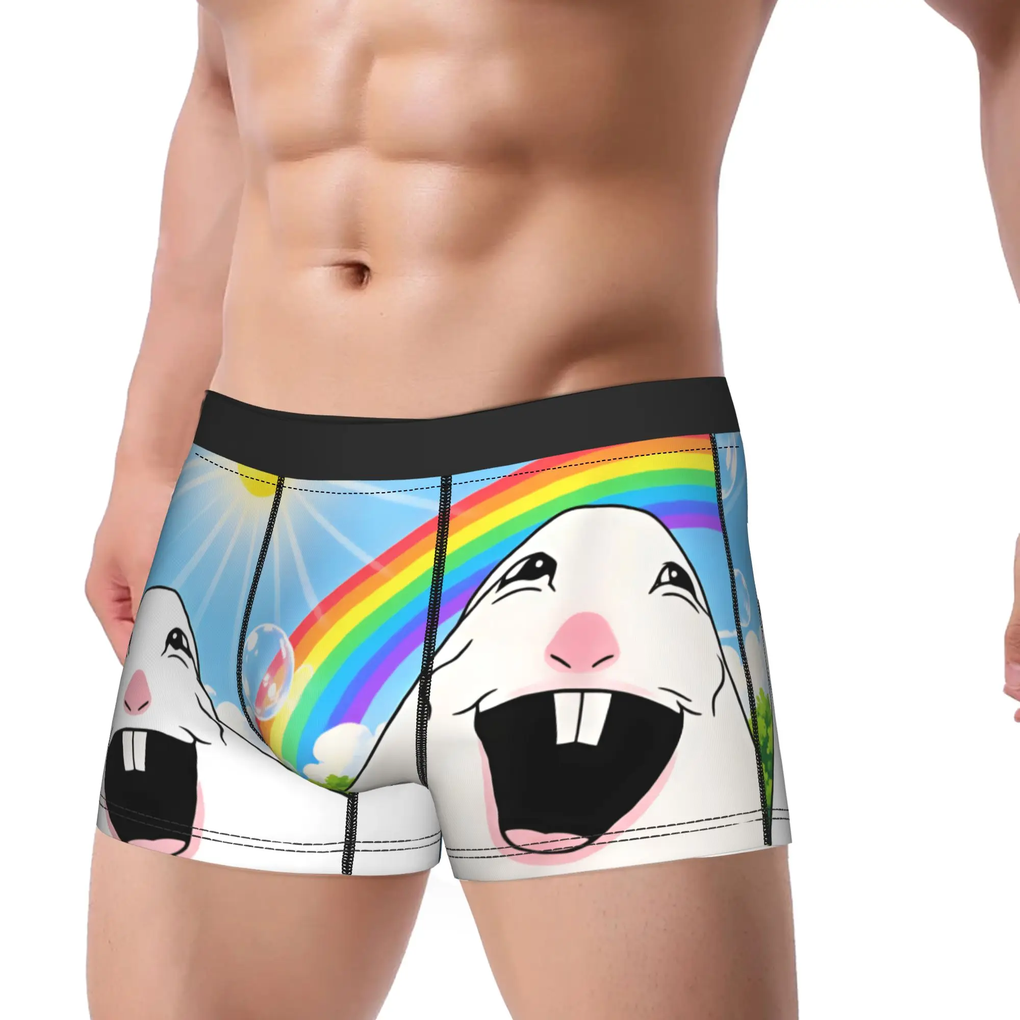 Funny Happy Hamster Creature Rainbow Sunshine Meme Underwear  Classic Underpants Custom DIY Shorts Briefs Pouch Large Size Trunk