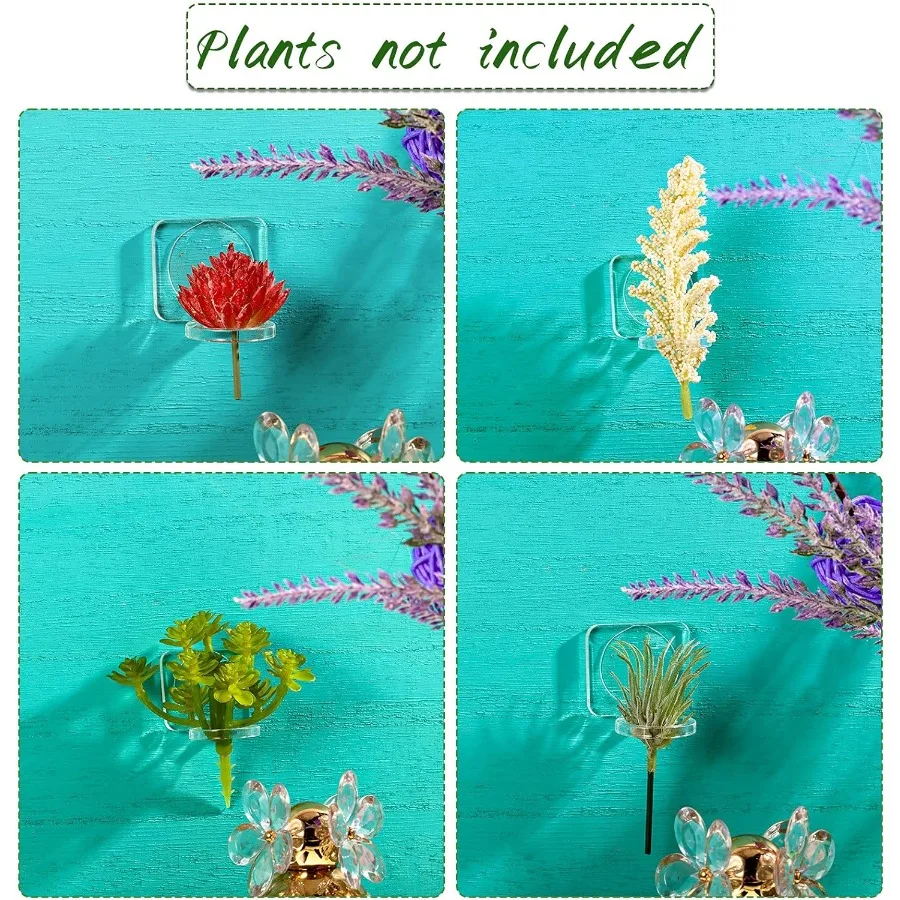 12 قطعة من حامل نباتات الهواء الأكريليك مع شريط تثبيت لتعليق نباتات الهواء على شاشة عرض زجاجية للمنزل #4