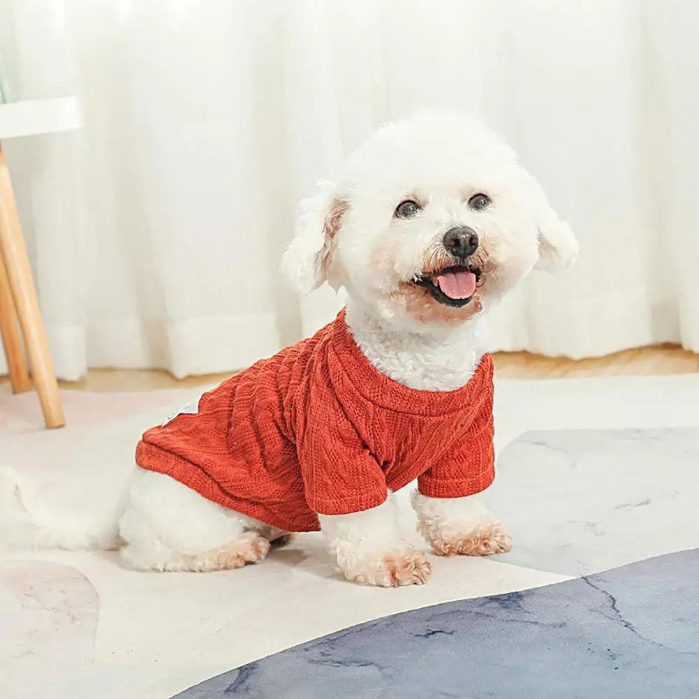 Pretty Dog Pullover Close Fitting Keep Warmth Breathable Pet Dogs Sweatshirt Two-legged Costume