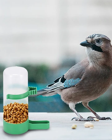 Water Feeder