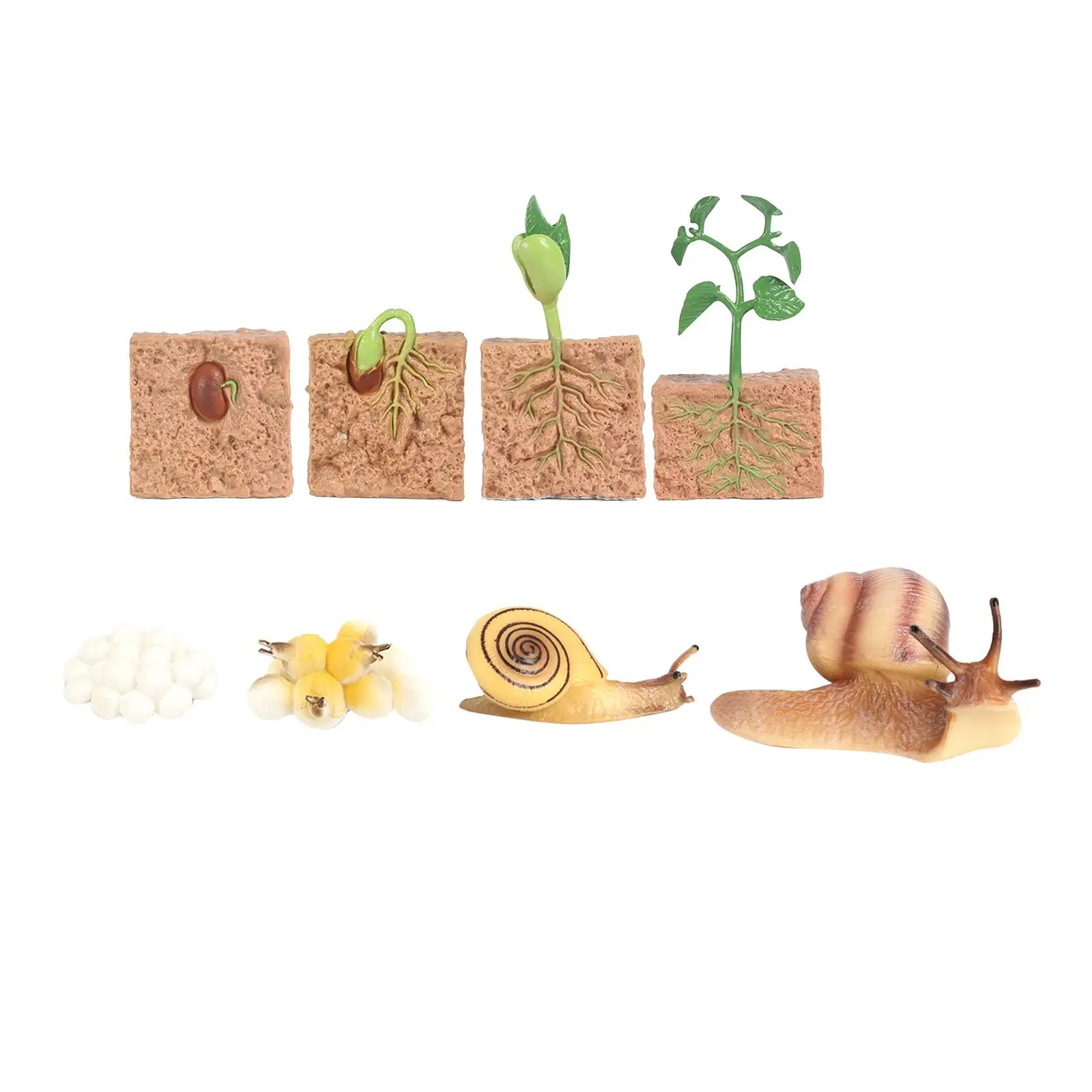 4x 1Set Children Plastic Plant Seeding Growth Life Cycle Playset