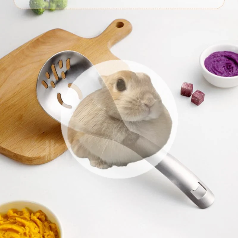 

Multifunctional Stainless Steel Kitchen Utensil Cooking Garlic Ginger Vegetable Grater Grinder Spoon Kitchen Supplies