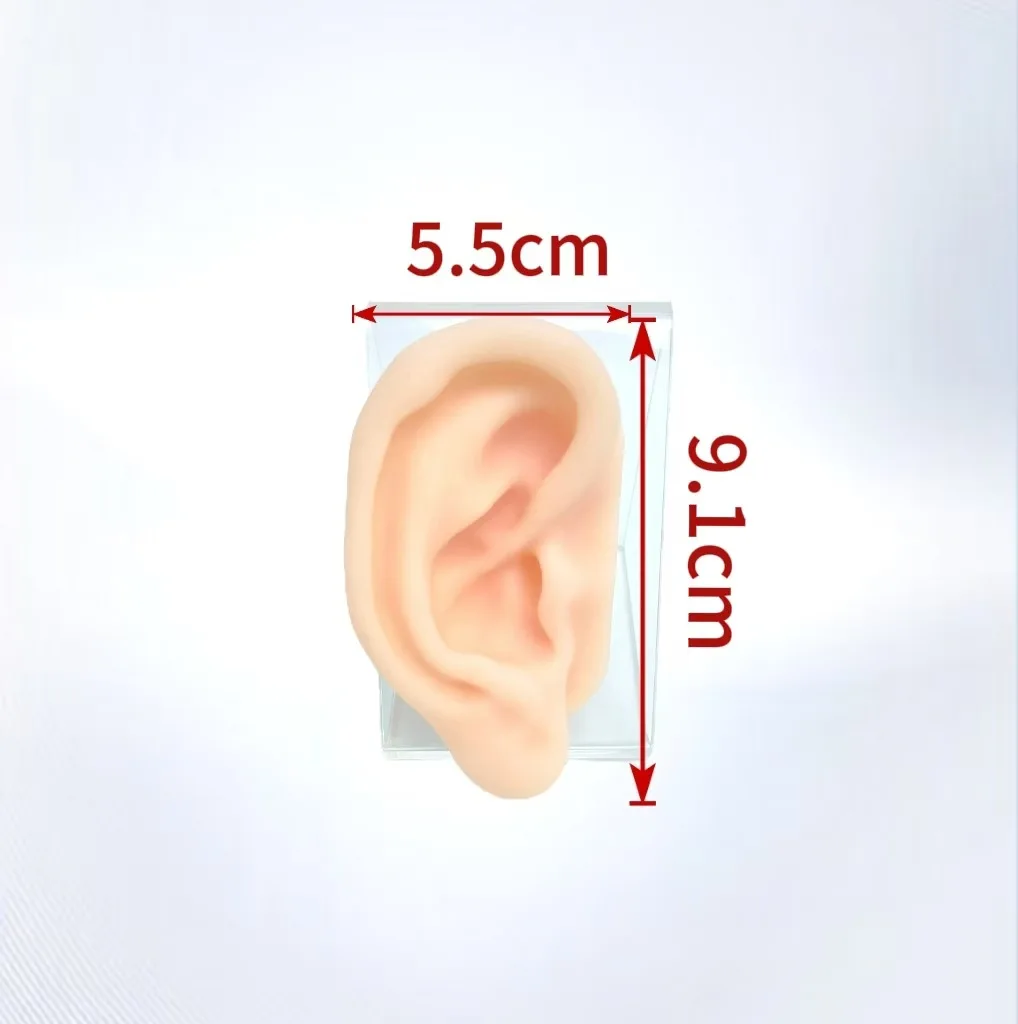 

Simulated Human Three-dimensional False Ear Silicone Perforation Practice Model Teaching Puncture Care Massage Ear Picking