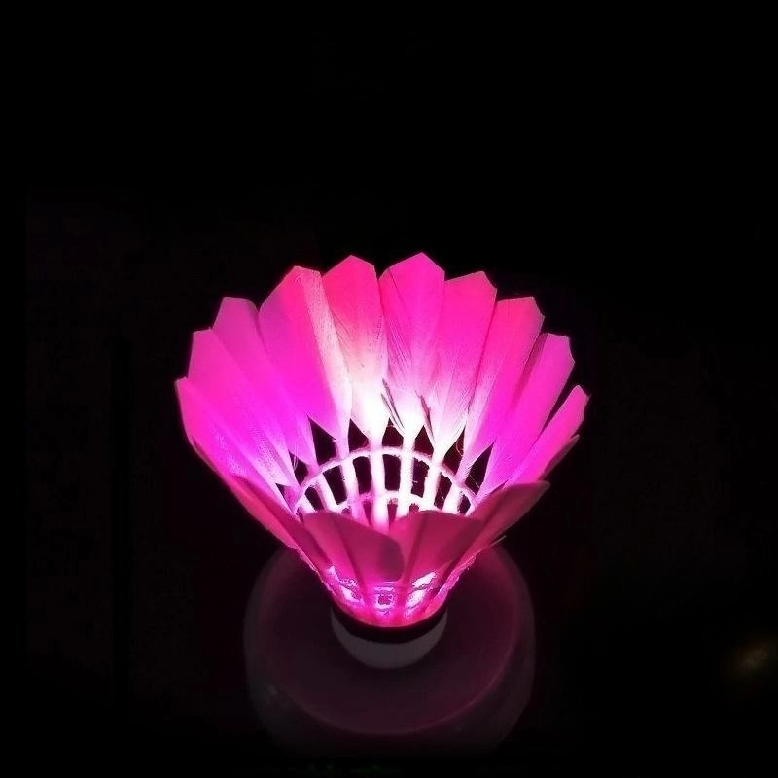 4 pezzi Dark Night Glow Colorful LED volani piuma d'oca volano illuminazione a LED palla da Badminton accessori per sport all'aria aperta