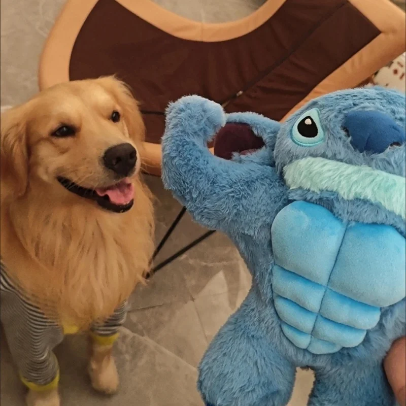 Nouvelle figurine d'animation Muscle Lilo & Stitch, jolie poupée en peluche, collection familiale, ornement en peluche, cadeau préféré pour enfant