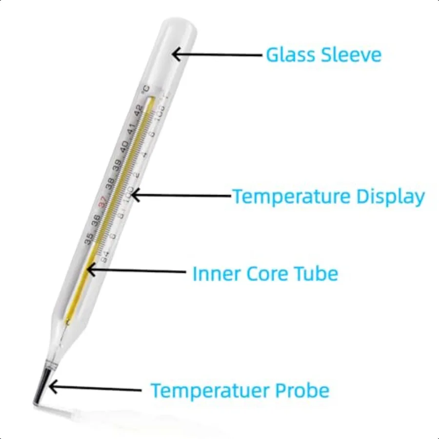Clinical Glass Thermometer for Underarm 2PCS Classic Non Digital Thermometer for Adults Accurate Easy Reading by