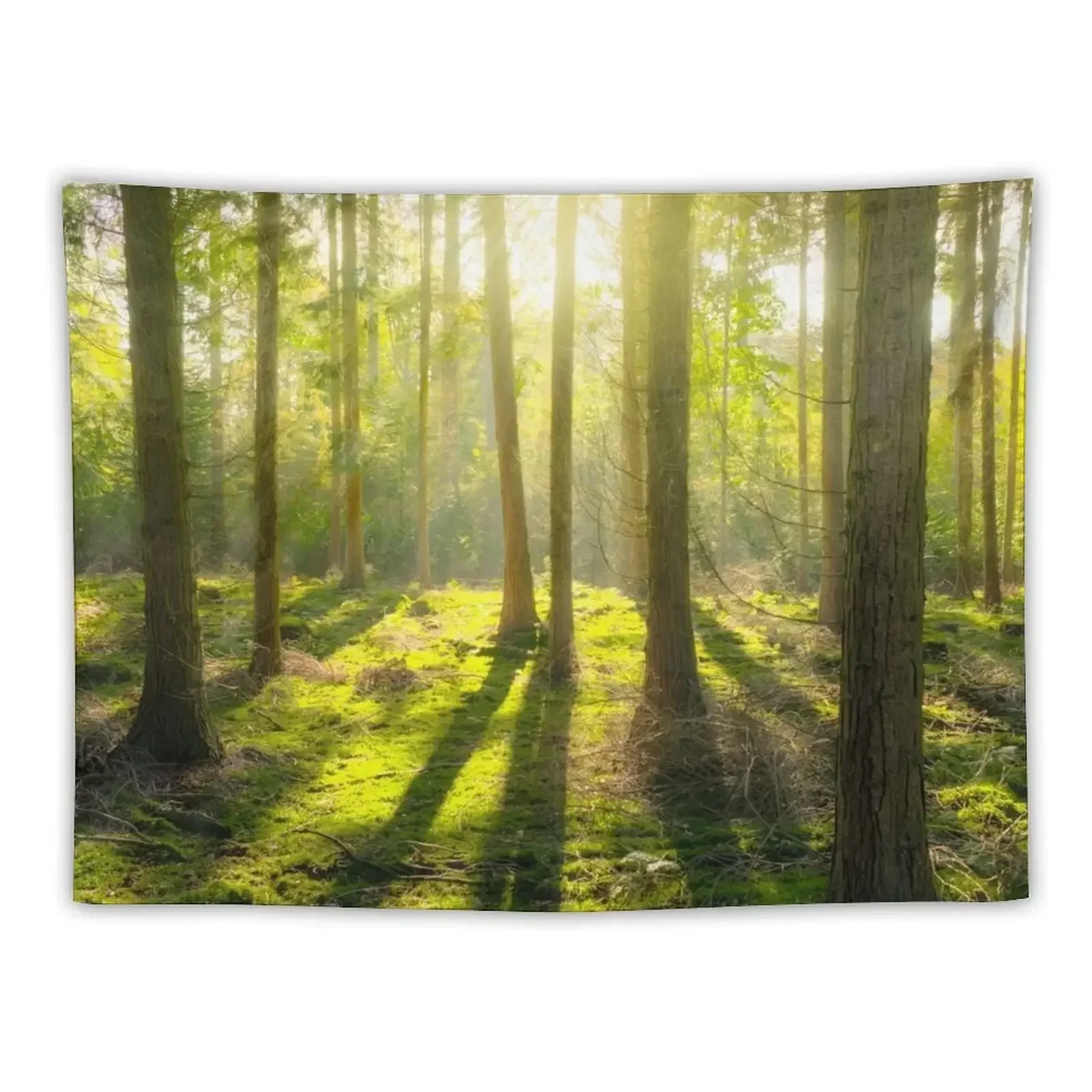 

SUNSHINE IN THE FOREST Tapestry Kawaii Room Decor Room Decorations Aesthetic Decoration For Home Funny Tapestry