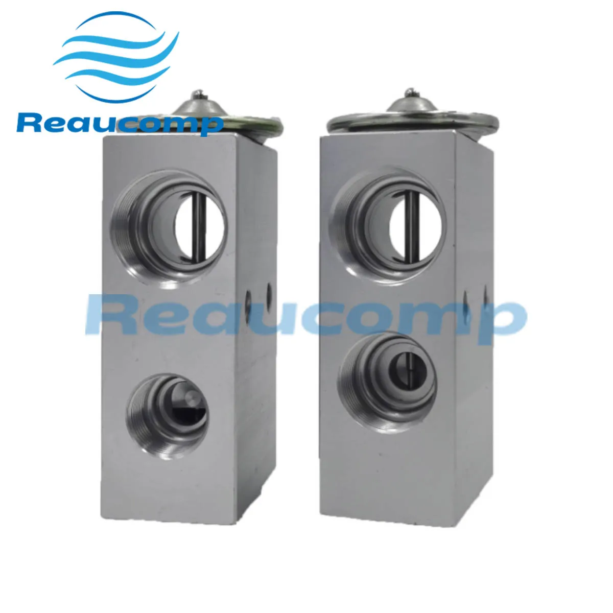 Válvula de expansión de aire acondicionado para Nissan Quest 1994~1998/Ford Winstar 55036189