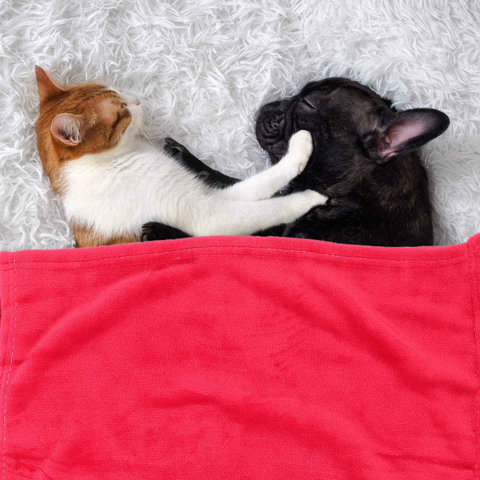 

Cozy Flannel Fleece Pet Blanket Solid Color Bright Red Lightweight Warm Highly Comfortable Flannel Pet Blanket