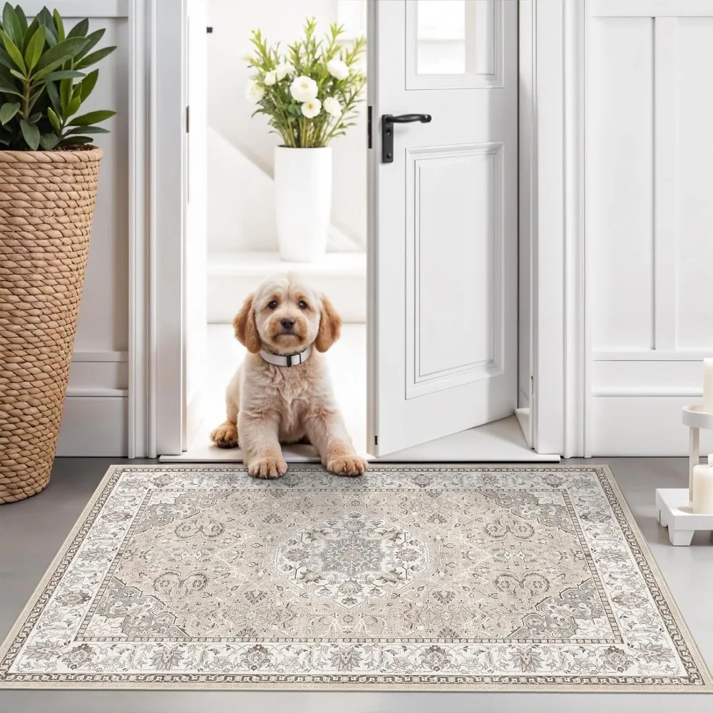 2x3 Entryway Area Rug - Neutral Kitchen Rug Runner Vintage Soft Floor Mat Non Slip Indoor Farmhouse Carpet for Bathroom Living Room Bedroom (2 X 3, Beige)
