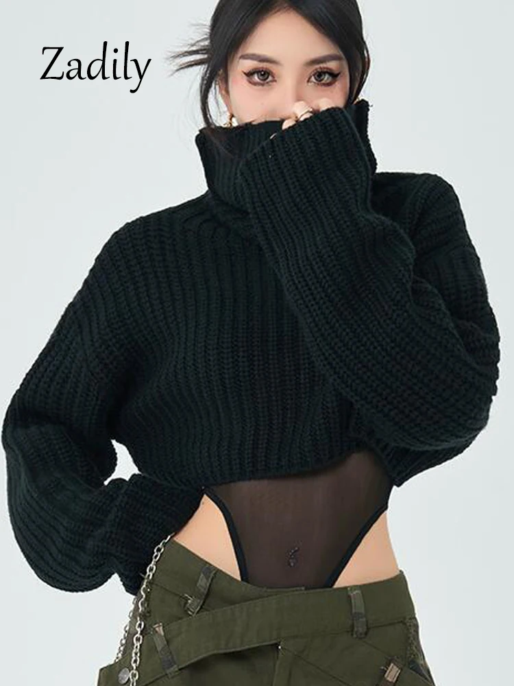 Zadily 2023 Winter Casual Long Sleeve Women Crop Sweater Korea Style Black Turtleneck Knit Ladies Pullover Woman Clothing