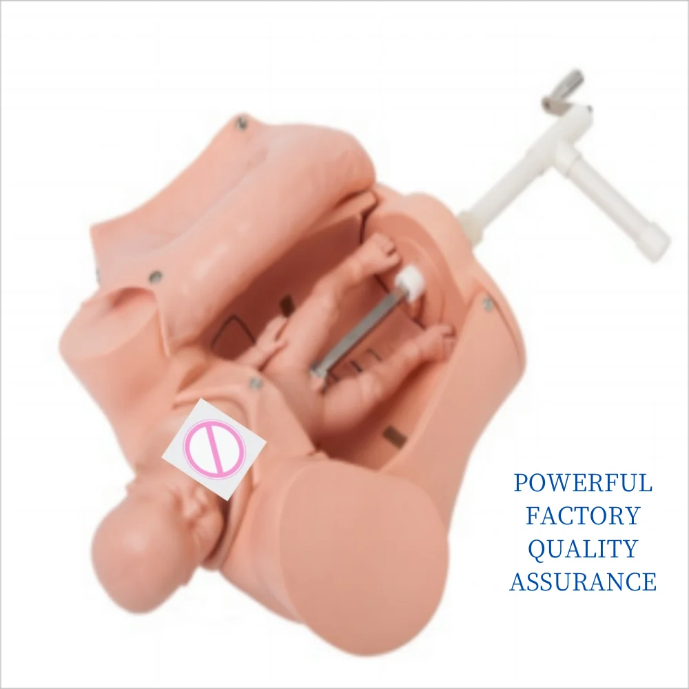 

Advanced Manual Delivery Comprehensive Skills Training Model Prenatal Examination Obstetrics Labor Test Medical Teaching and Pra