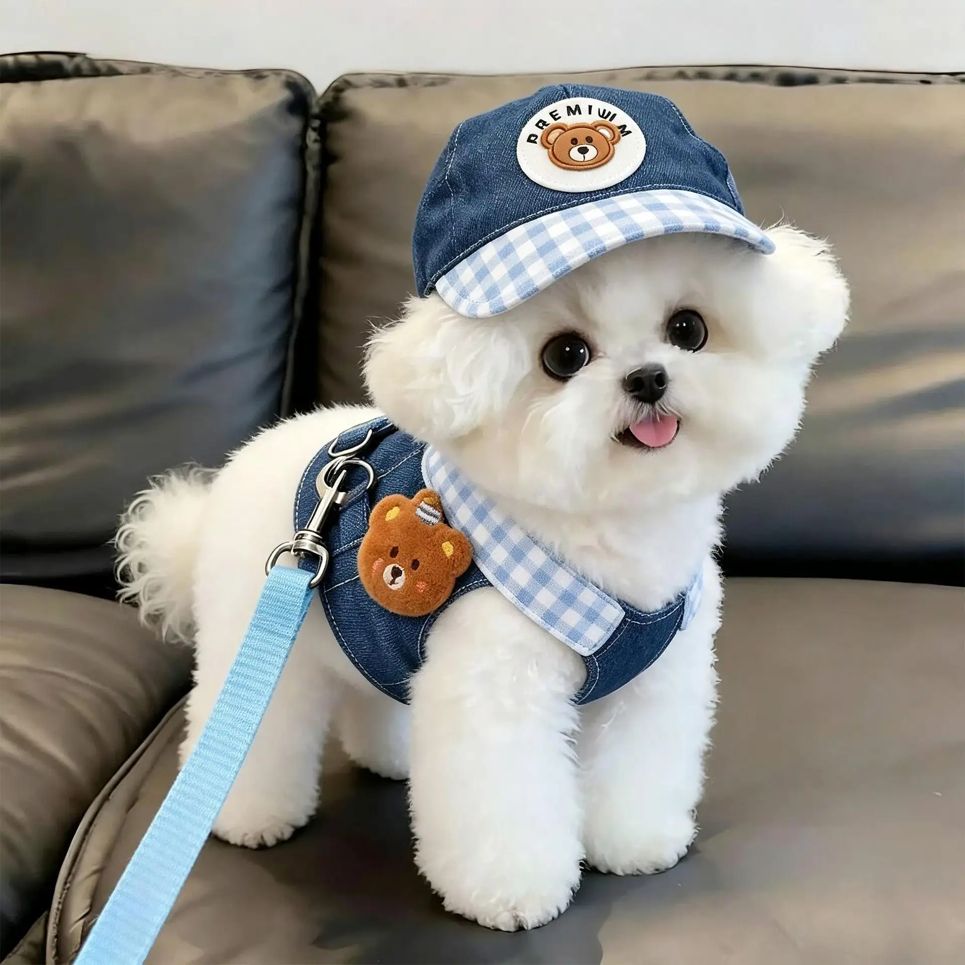 Cute Pet Harness Leash & Sun Hat Set 4