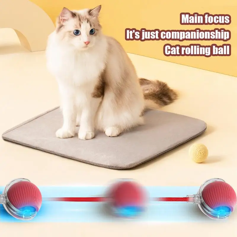 

Cat Interactive Ball Toys Electric Cat Ball Toys Cat Puzzle Toy Rolling Ball Faux Tail Rechargeable Smart Pet Electric Toy