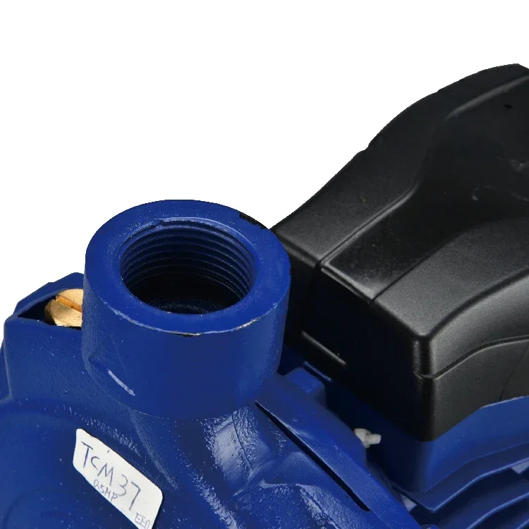 Pompa acqua centrifuga SALI CPM158 750W