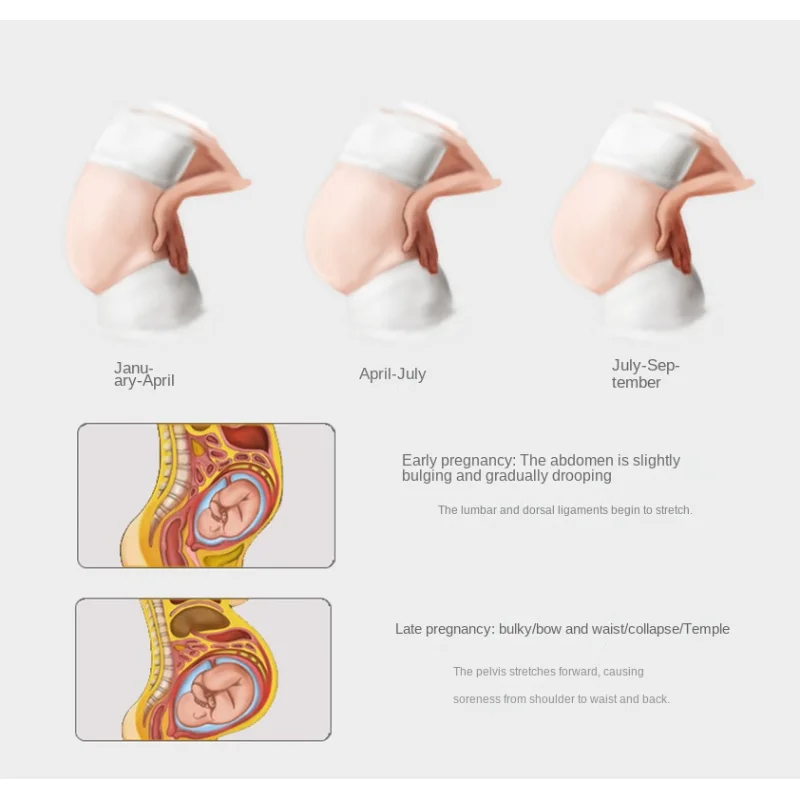 Защитные поддерживающие ремни для беременных женщин ремень для живота для беременных поддерживающий живот пояс для спины бандаж для беременных