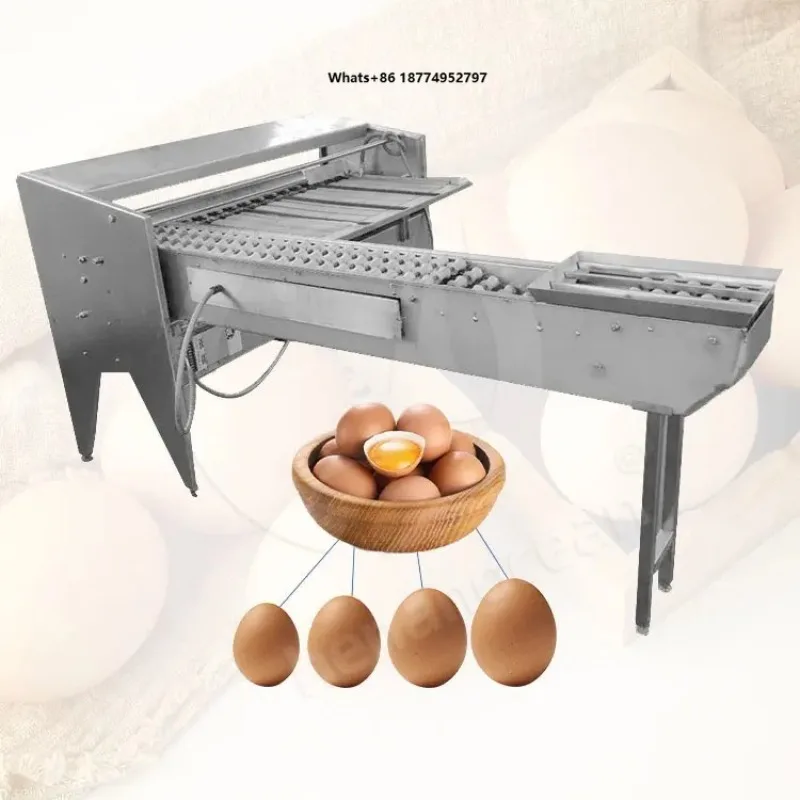 Automatic Multifunction Small Egg Size Grade Washing and Sorting Machine Chicken Egg Sorting Grading Machine for Sale