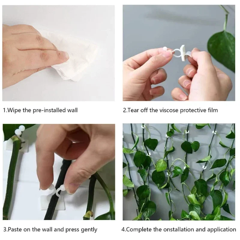 50pcs~10Pcs Plant Climbing Wall Fixture Clips Rattan Vine Fixer Self-Adhesive Hook Invisible Garden Binding Clip Wall StickyClip