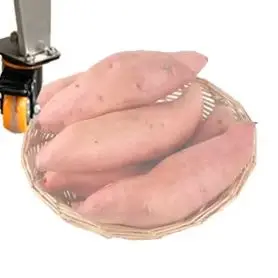 

Vegetable Cutter Food Slicer / Dicer Slicer Vegetable Cutter / Vegetable Cutting Machine