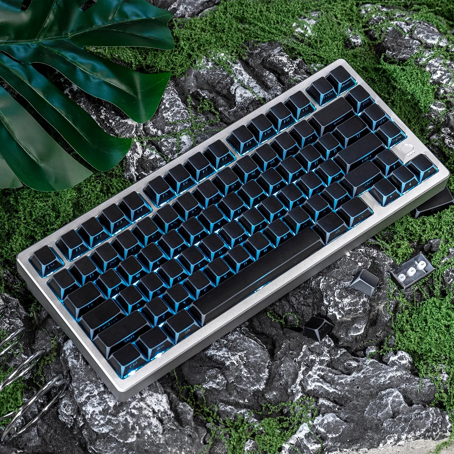 Shadow Keycap Side Print Edge Backlit PBT Shine Through White Black Macarons Cherry Profile 137 Key cap MX Gamer Keyboards