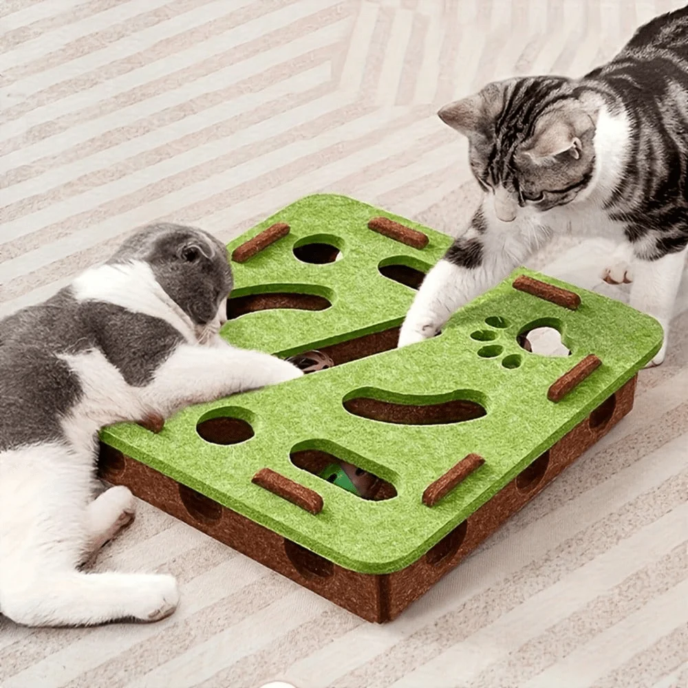 #5 Interactive Cat Toys Comparison Guide