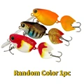 Random Color 1pc
