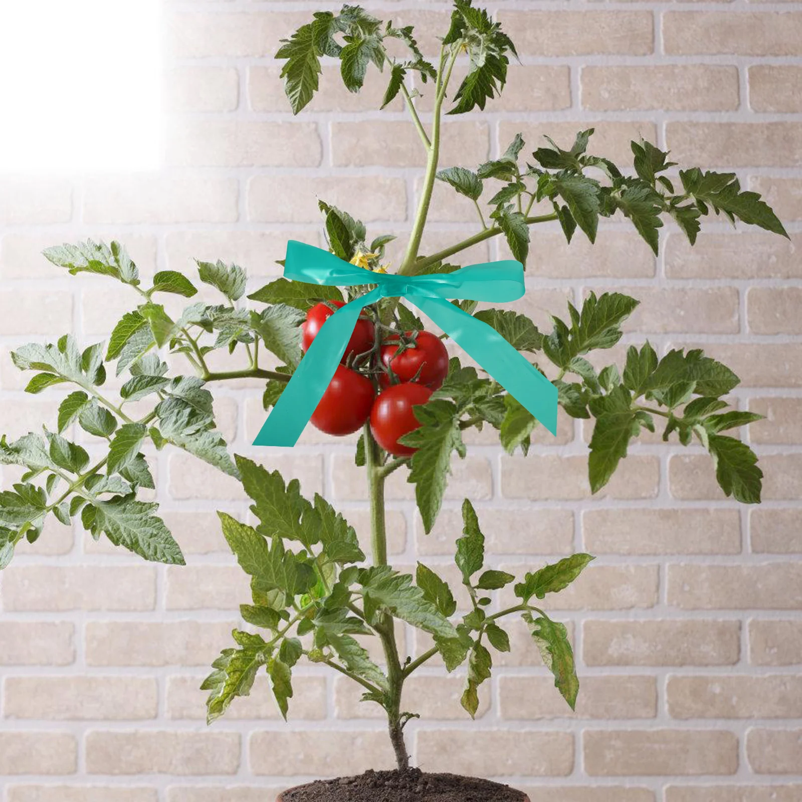 

2 Rolls Garden Tie Band Gardening Supplies Tapes Convenient Plant Elastic Extension Branch Tying Tool